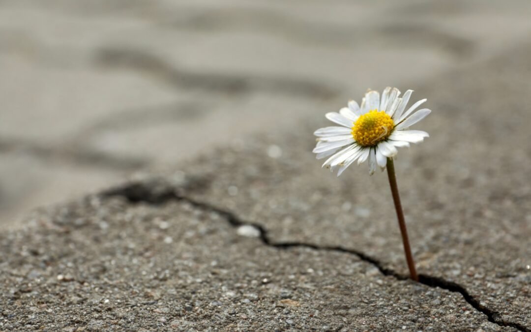 Licenciements, restructurations d’entreprises : comment manager les salariés « survivants » ?